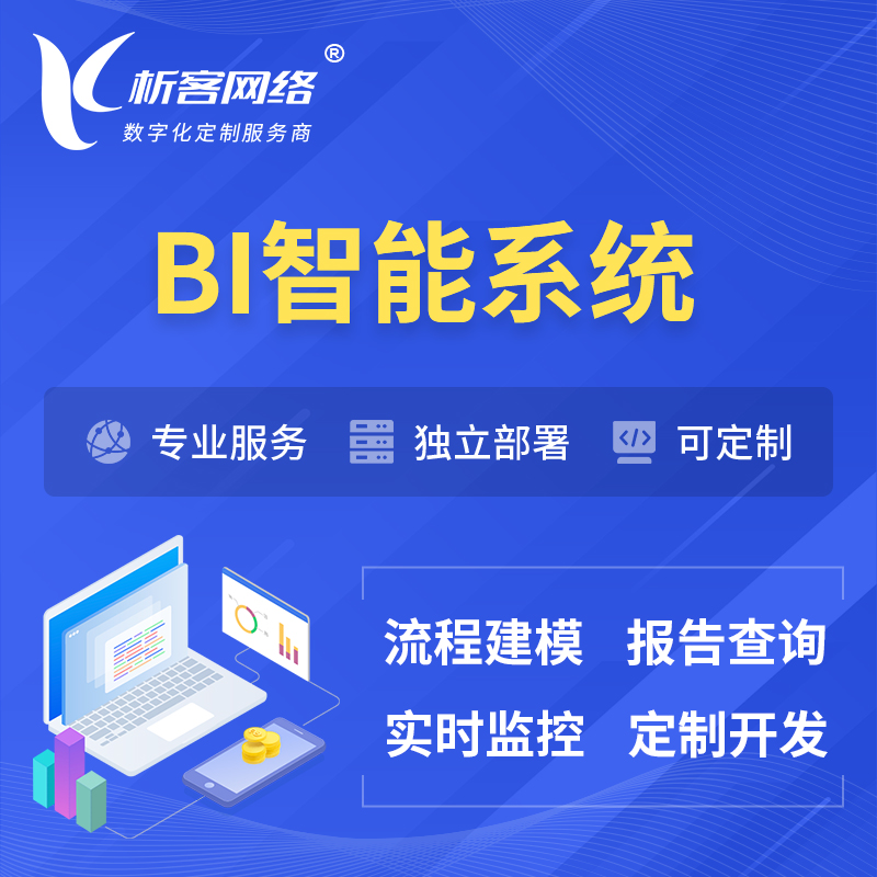 忻州BI智能系统 | BI数据可视化
